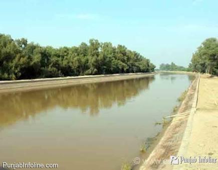 दशमेश लिंक नहर बनाने के लिए गठित टीम में विधायक सरदार हरदियाल सिंह कंबोज को बनाया चेयरमैन